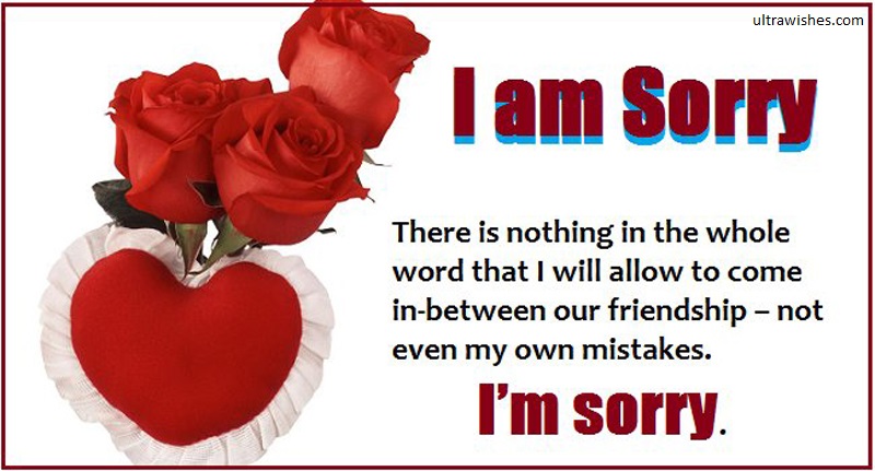 i am sorry messages for best friend