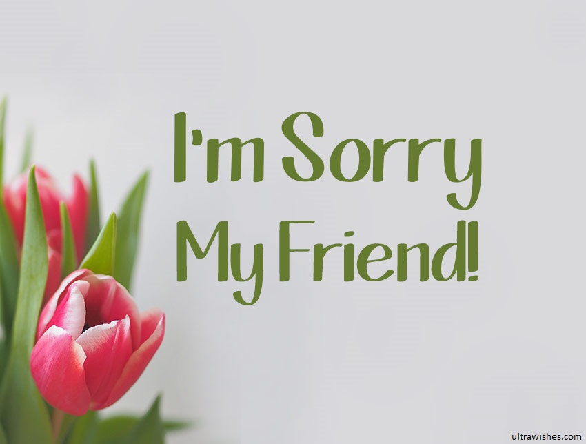 im sorry message for friends