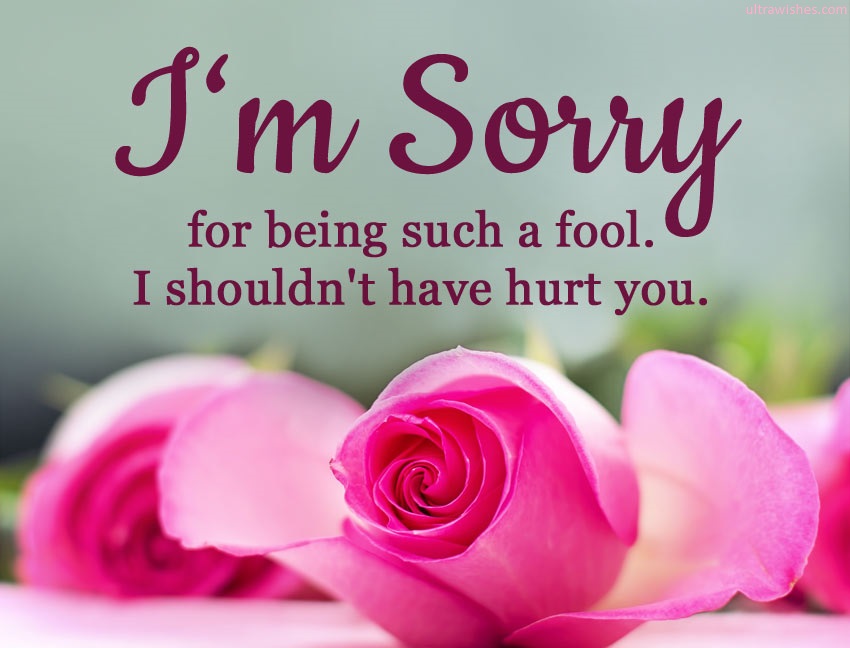 touchy sorry messages for friend