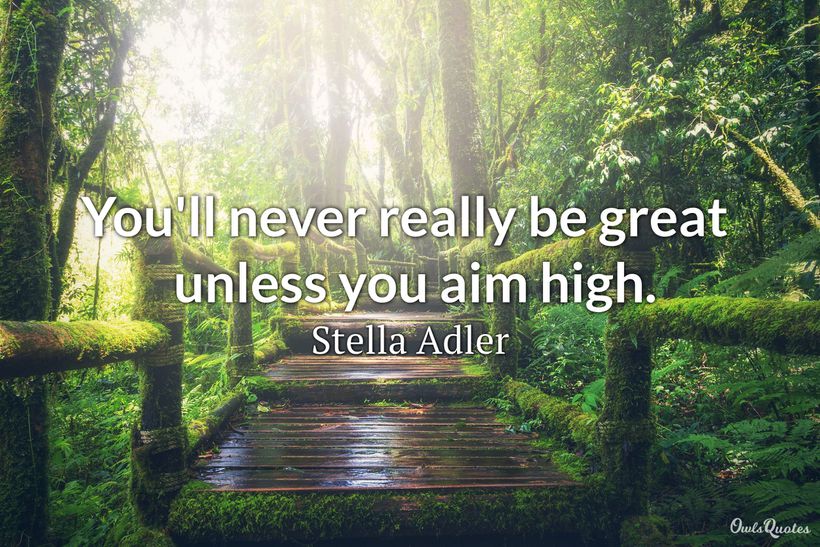 25 Inspirational Aim High Quotes » Ultra Wishes