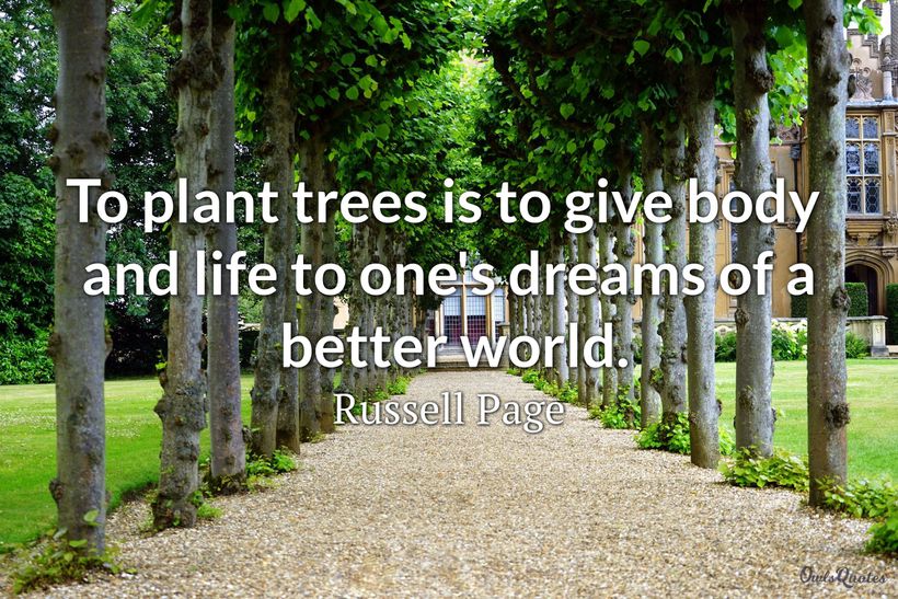 Inspirational Quotes About Plants And Life - inspirational quotes about plants and life