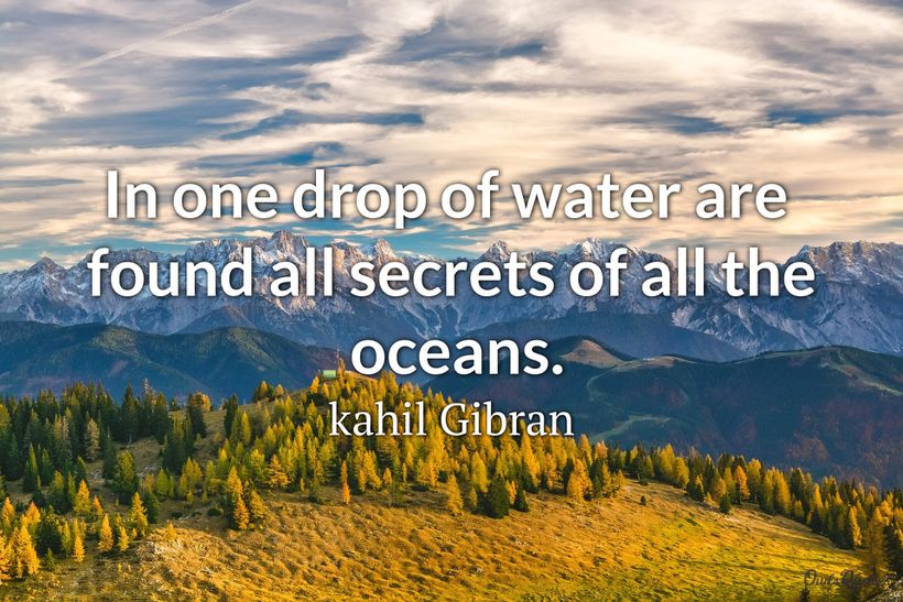 20 "Water Drop" Quotes That Will Inspire and Motivate You