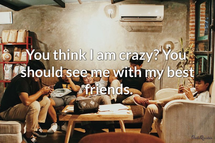 19 Crazy Friends Quotes To Celebrate Your Friendship Ultra Wishes