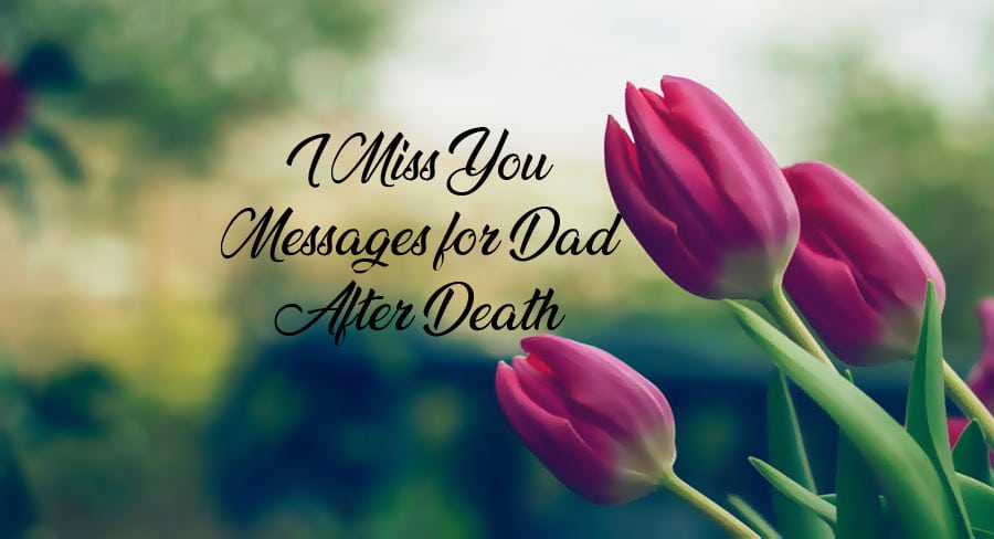 Miss You Messages For Dad After Death