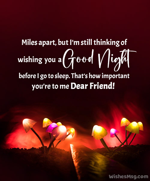 Good Night Message for Friend in Long Distance