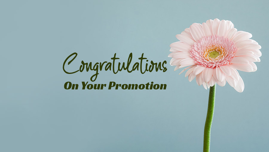 Promotion Wishes To Colleague - Congratulations Messages
