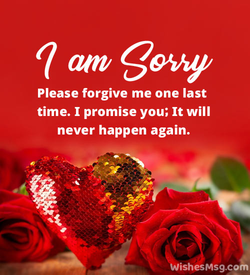sorry message for husband