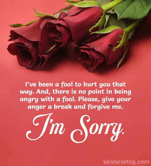 sorry message for best friend