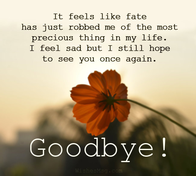 Emotional Goodbye Messages For Someone You Love
