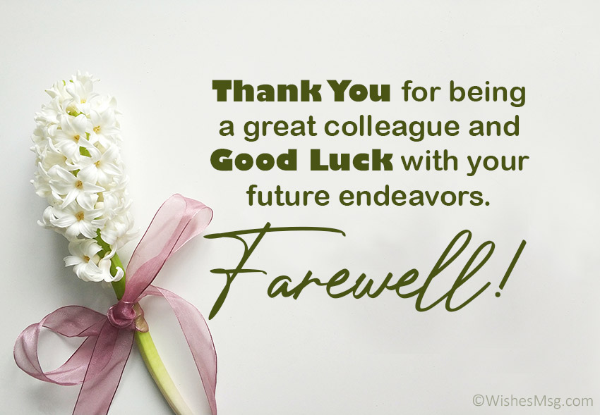 Heartfelt Farewell Message for Colleague