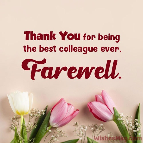 farewell message to a colleague