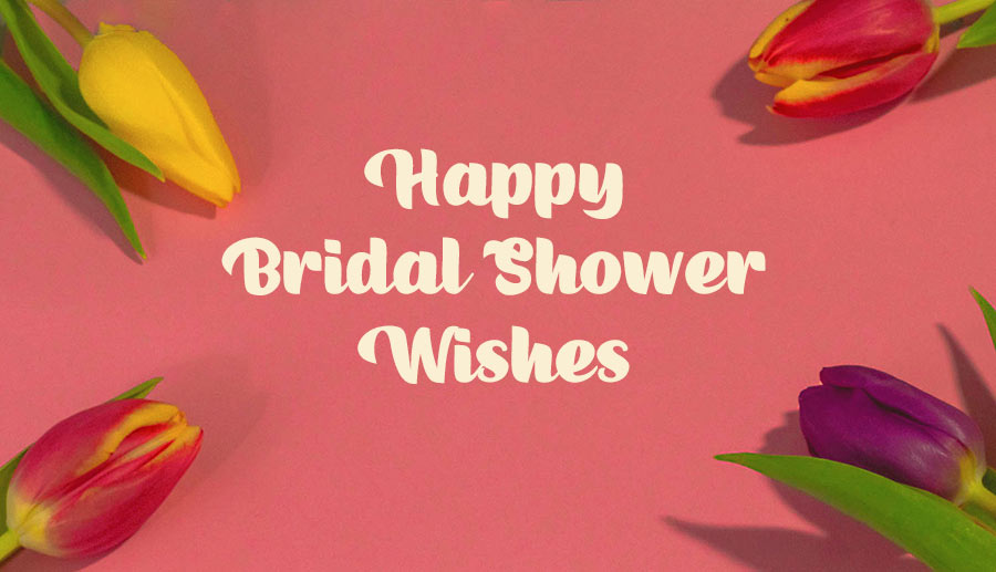 100+ Bridal Shower Wishes and Messages