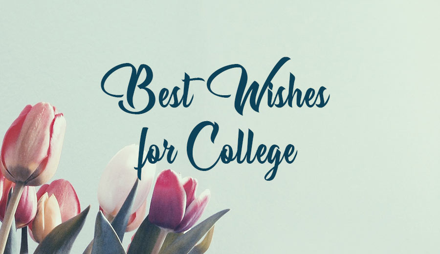 best wishes for college admission