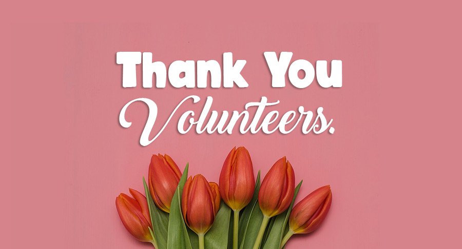 100+ Thank You Messages and Quotes For Volunteers