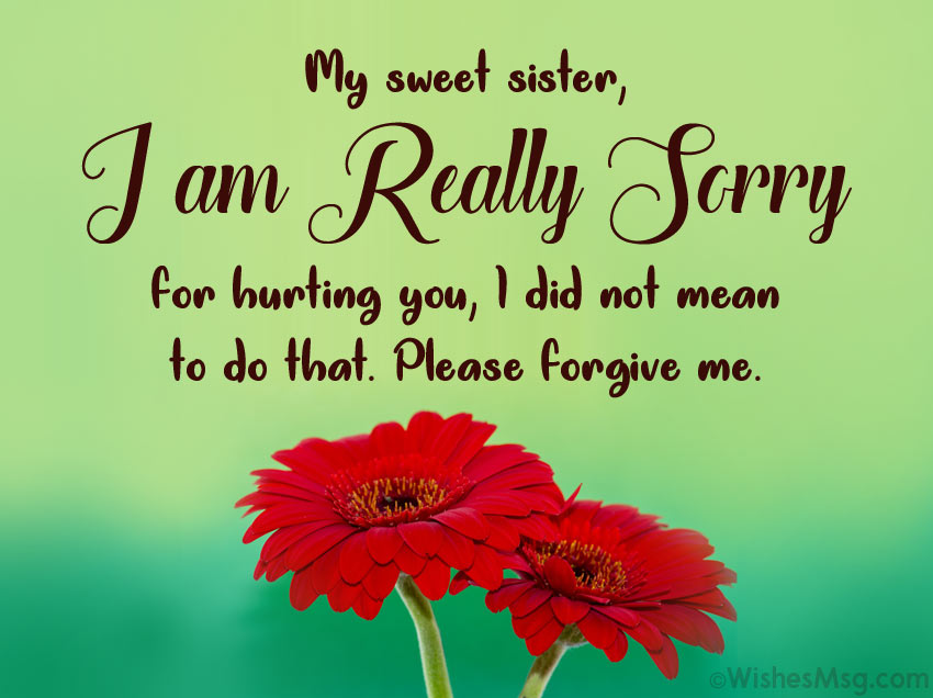 Sorry messages for sister